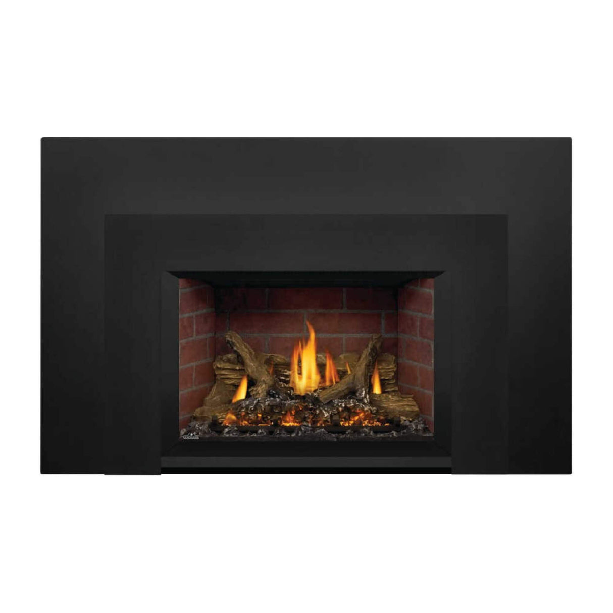 Napoleon Oakville X3/X4 Direct Vent Electronic Ignition Natural Gas Fireplace Insert (GDIX3N/4N-1)
