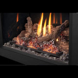Napoleon Oakville X3/X4 Direct Vent Electronic Ignition Natural Gas Fireplace Insert (GDIX3N/4N-1)