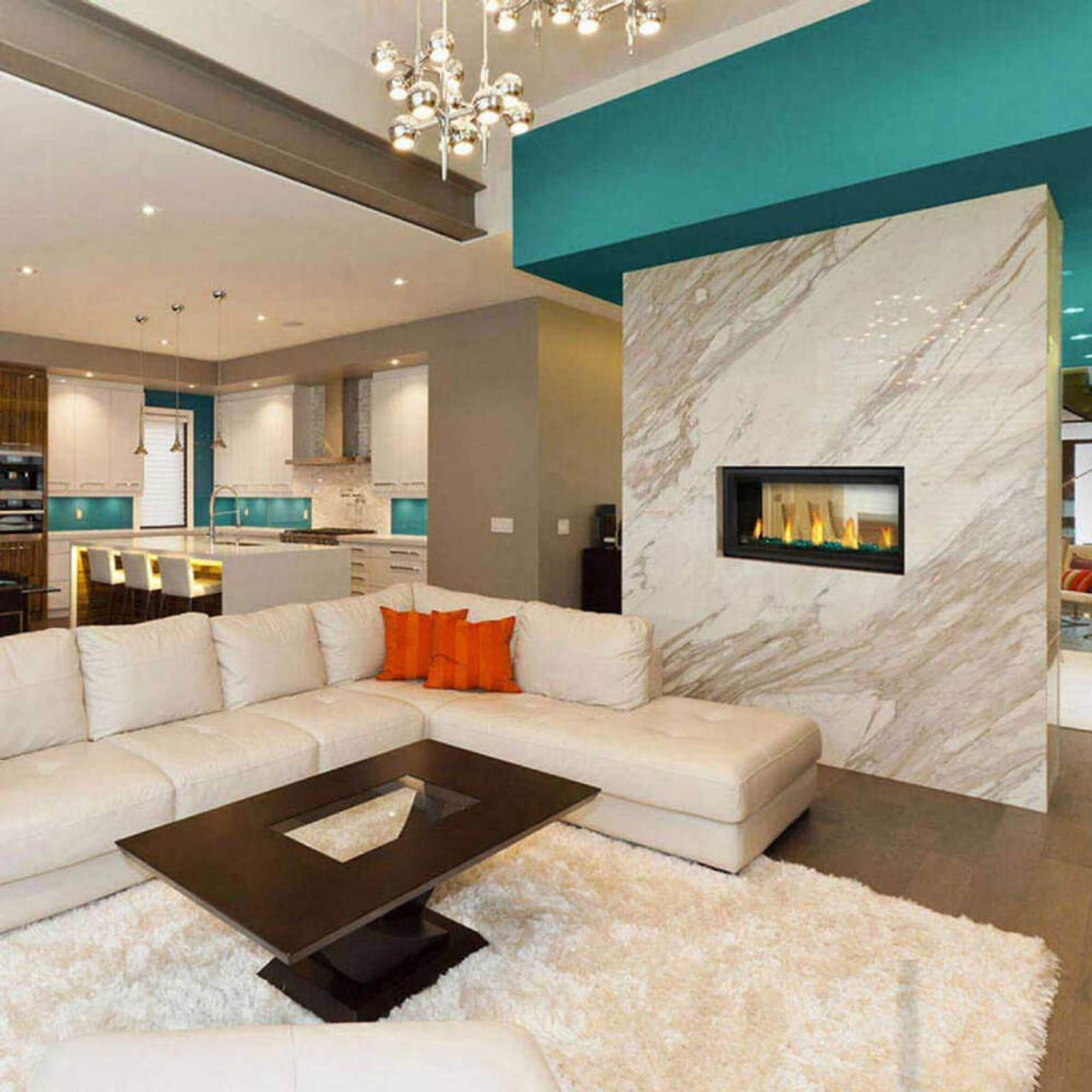 Napoleon Vector™ 38 See-Through Direct Vent Electronic Ignition Natural Gas Fireplace With eFIRE Bluetooth App, 38" [LV38N2-1]