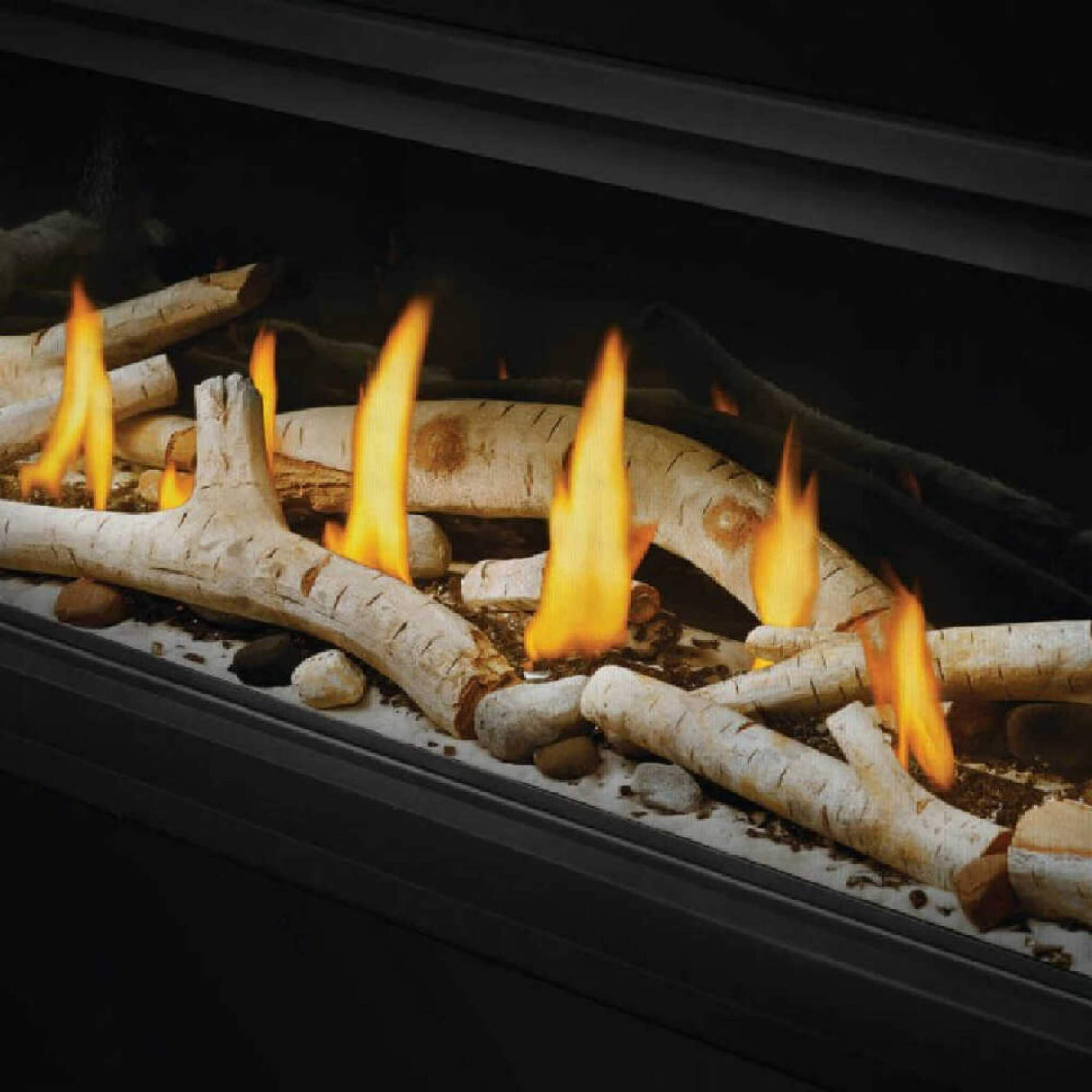 Napoleon Vector 50 Single-Sided Direct Vent Electronic Natural Gas Fireplace With Night Light System, 65" [LV50N-2]