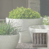 Campania Nori Bowl Planter - P-1006