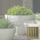 Campania Nori Bowl Planter - P-1006