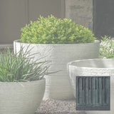 Campania Nori Bowl Planter - P-1006