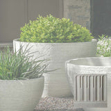 Campania Nori Bowl Planter - P-1006