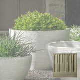 Campania Nori Bowl Planter - P-1006