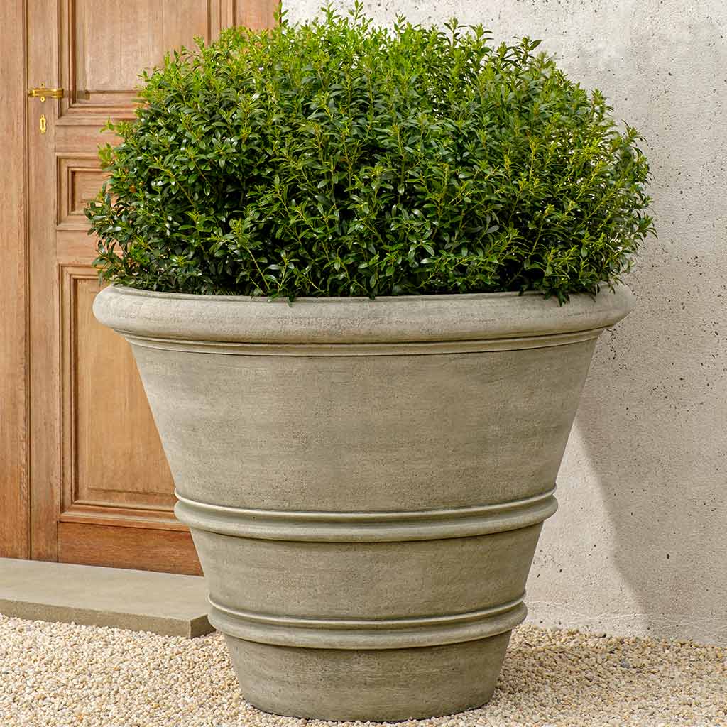 Campania Classic Rolled Rim - P-535