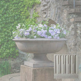 Campania Apsley Urn - P-972
