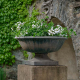Campania Apsley Urn - P-972