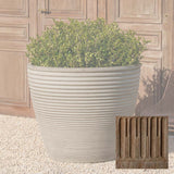 Campania Bibendum Planter - P-992