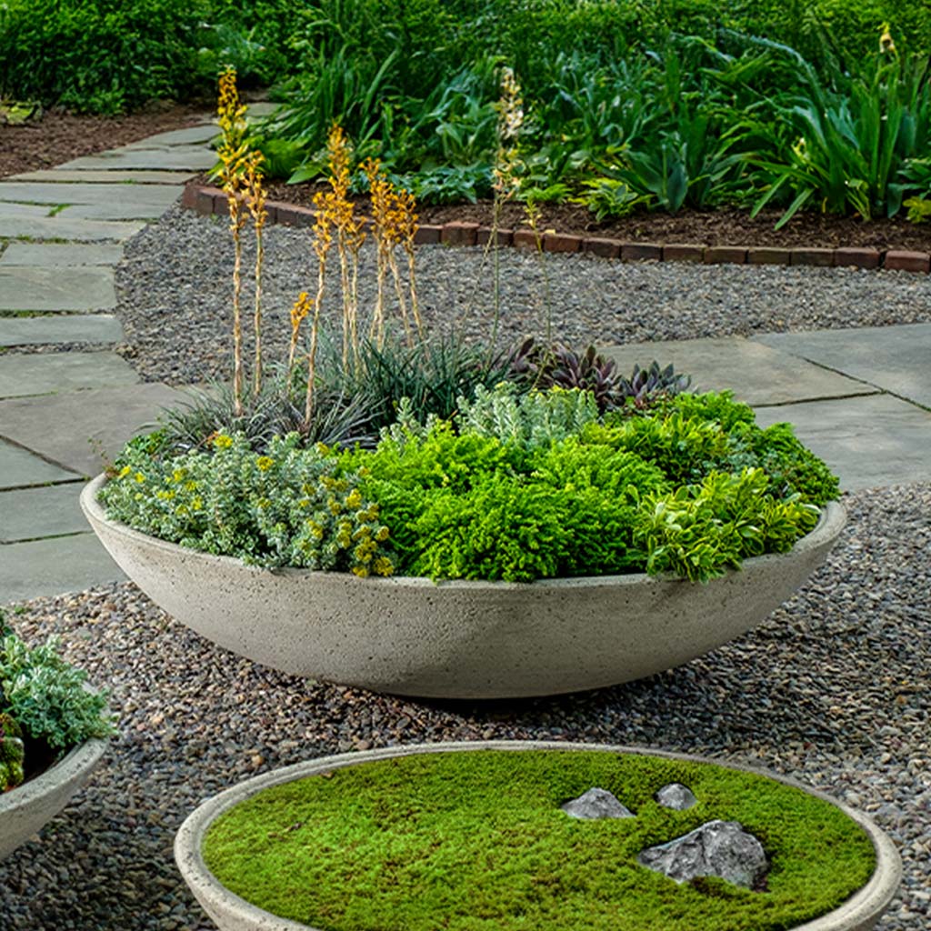 Campania Garden Bowl Planter - P-996