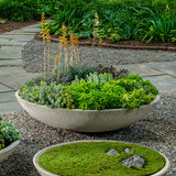 Campania Garden Bowl Planter - P-996