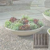 Campania Garden Bowl Planter - P-996