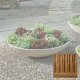 Campania Garden Bowl Planter - P-996