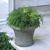 Campania Westport Planter - P-365