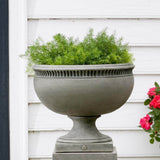 Campania Williamsburg Tayloe House Urn - P-459
