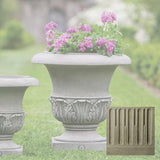 Campania Williamsburg Acanthus Planter - P-497A