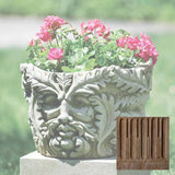 Campania Sylvan Planter - P-499
