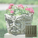 Campania Sylvan Planter - P-499