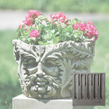 Campania Sylvan Planter - P-499