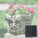 Campania Sylvan Planter - P-499