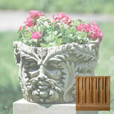 Campania Sylvan Planter - P-499