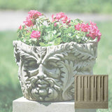 Campania Sylvan Planter - P-499