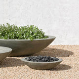 Campania Low Zen Bowl Planter - P-502