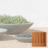 Campania Low Zen Bowl Planter - P-502