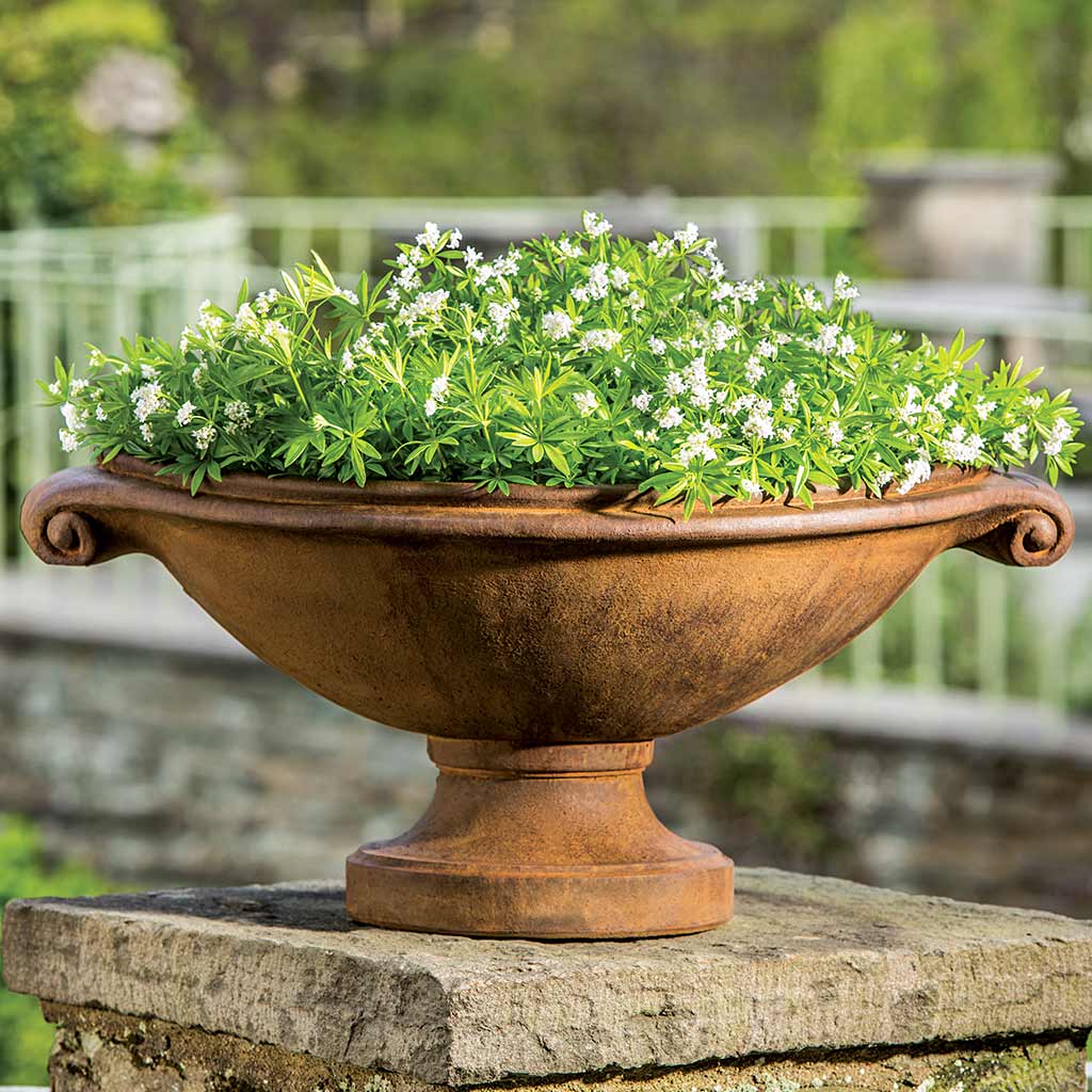 Campania Medici Planter - Thumbnail 2
