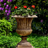 Campania Smithsonian Classical Urn - P-659