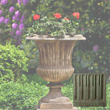 Campania Smithsonian Classical Urn - P-659