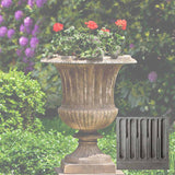 Campania Smithsonian Classical Urn - P-659