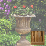 Campania Smithsonian Classical Urn - P-659