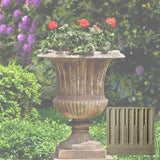 Campania Smithsonian Classical Urn - P-659