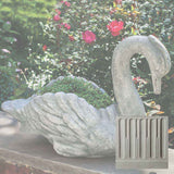 Campania Newport Swan Garden Statue - P-678