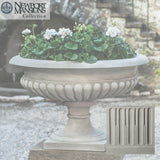 Campania Kingscote Urn - P-681