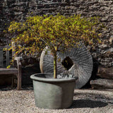 Campania Palo Alto Low Planter - P-739