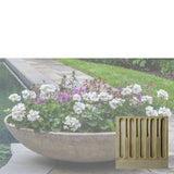 Campania Textured Zen Bowl - P-754