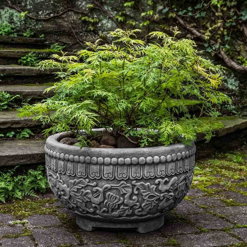 Campania Jaipur Bowl - P-772