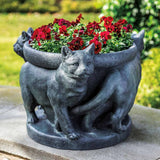 Campania Cats Planter - P-859