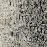 Universal Rocks Pecan Tree Bark 6' x 13' Wall Panel – PECAN-BARK-PANEL