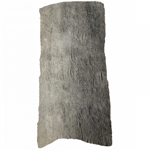 Universal Rocks Pecan Tree Bark 6' x 13' Wall Panel – PECAN-BARK-PANEL