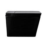 Premium Multifunctional Single-Piece Automatic Smart Toilet With Remote Control, Matte Black (96471352)