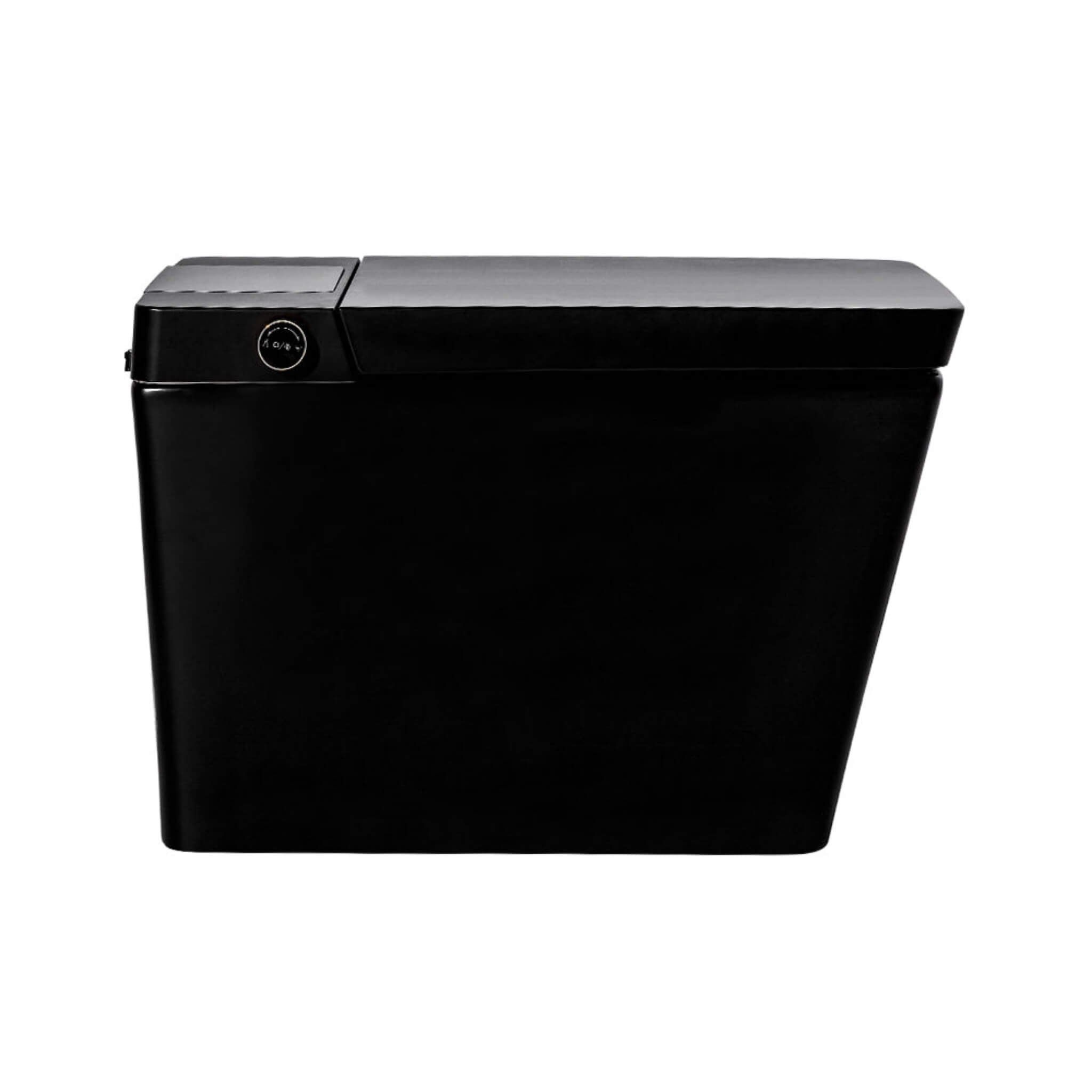 Premium Multifunctional Single-Piece Automatic Smart Toilet With Remote Control, Matte Black (96471352)