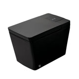 Premium Multifunctional Single-Piece Automatic Smart Toilet With Remote Control, Matte Black (96471352)