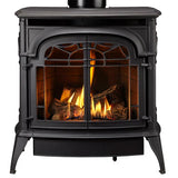 Vermont Castings Stardance Direct Vent Gas Stove with IntelliFire Ignition - SDDVT-IFT-CB