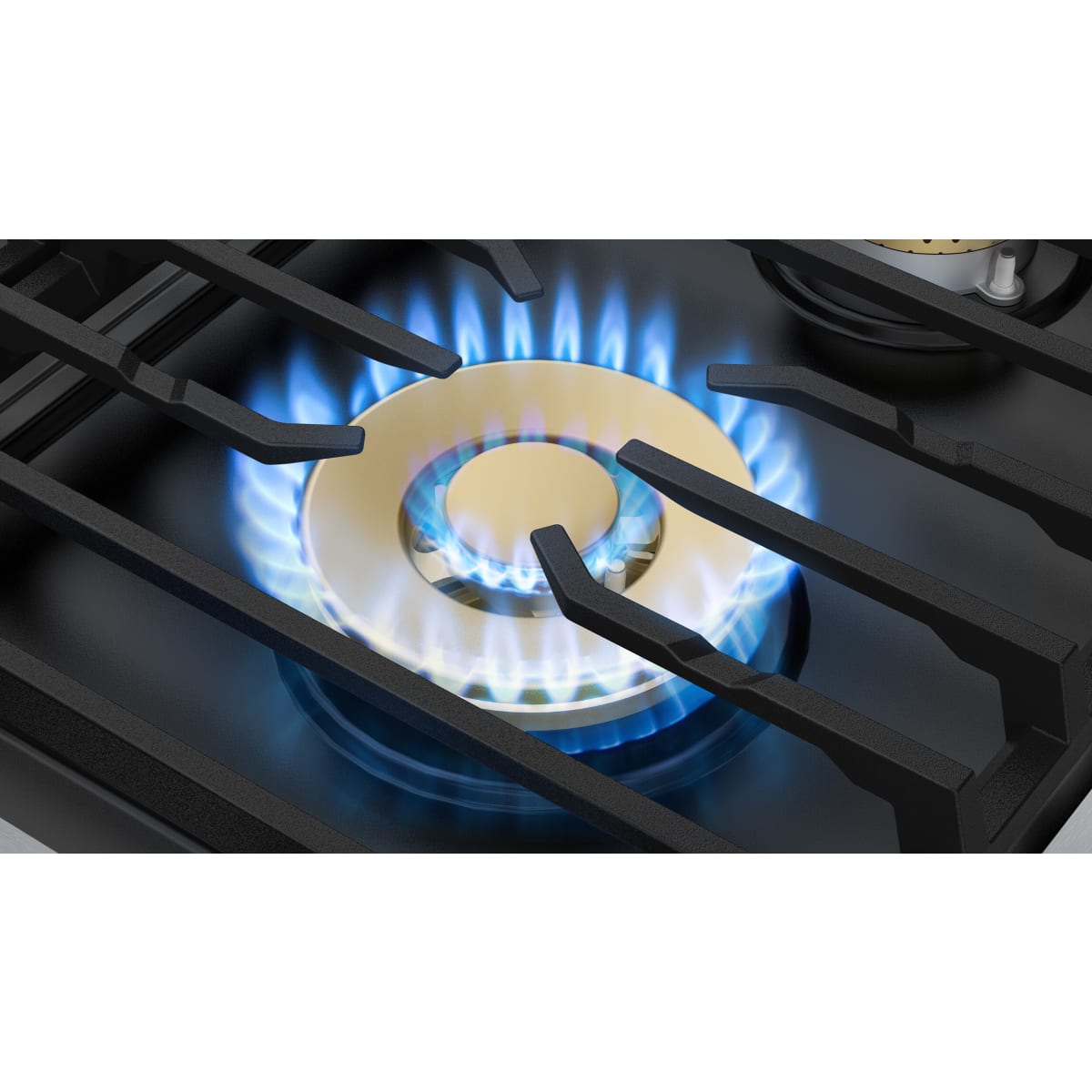 Dacor 30-Inch Transitional Gas Range, Silver Stainless - DOP30T940DS