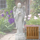 Campania Autumn Angel Garden Statue - R-060