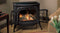 Vermont Castings Radiance Direct Vent Gas Stove with IntelliFire Ignition - RADVT-IFT