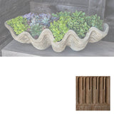 Campania South Seas Shell Planter, Large - W-106